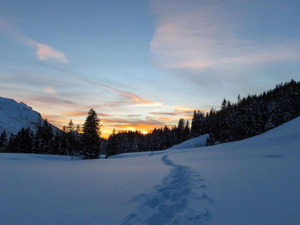 Apartment Val Neige By Interhome Les Diablerets